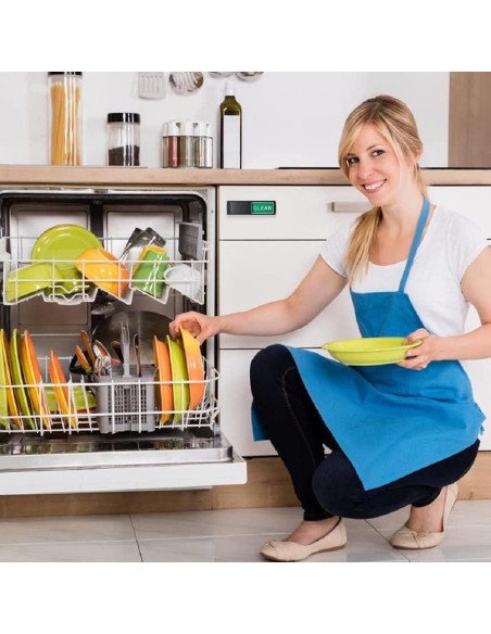 Imán de Lavavajillas Lissaberg Limpio Sucio Negro