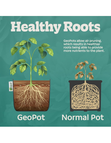 Bolsas de Cultivo de Tela GeoPot 3 Galones - Paquete de 10