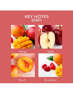 Vela Aromática Baya Azulfra 193g - Cera de Soja Natural 2