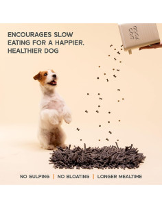 Alfombra de Olfato Paw 5 para Perros Pequeños 2-Pack 2