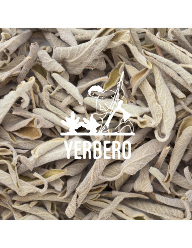 Yerbero Racimo de Salvia Blanca Premium 114g - Incienso Natural