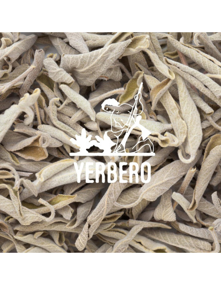 Yerbero Racimo de Salvia Blanca Premium 114g - Incienso Natural