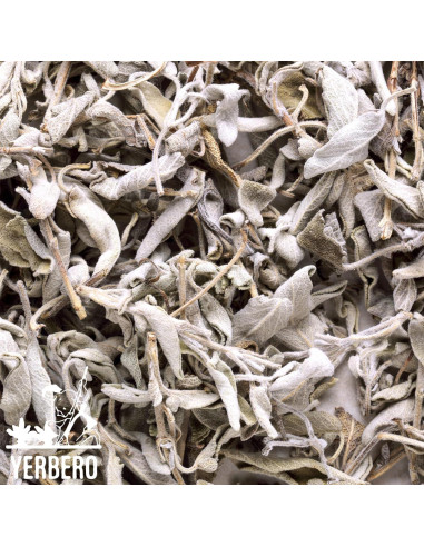 Yerbero Racimo de Salvia Blanca Premium 114g - Incienso Natural