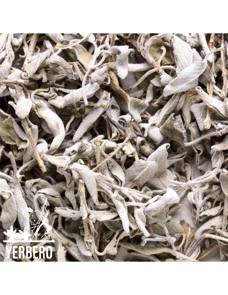 Yerbero Racimo de Salvia Blanca Premium 114g - Incienso Natural