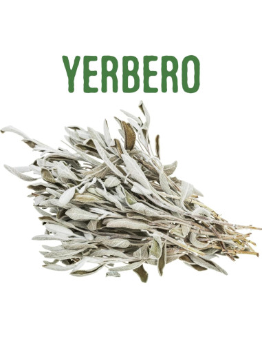Yerbero Racimo de Salvia Blanca Premium 114g - Incienso Natural