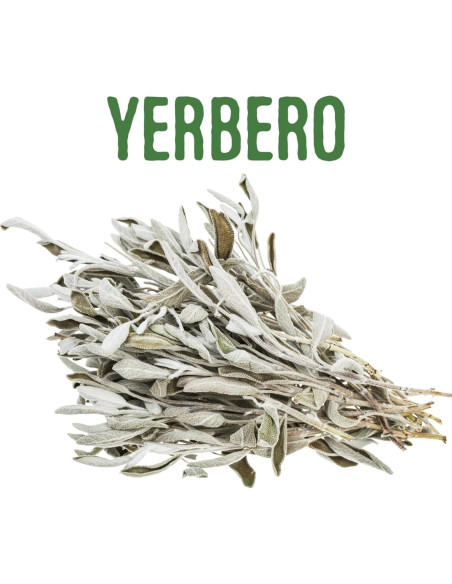 Yerbero Racimo de Salvia Blanca Premium 114g - Incienso Natural