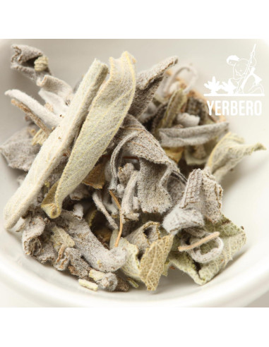 Yerbero Racimo de Salvia Blanca Premium 114g - Incienso Natural