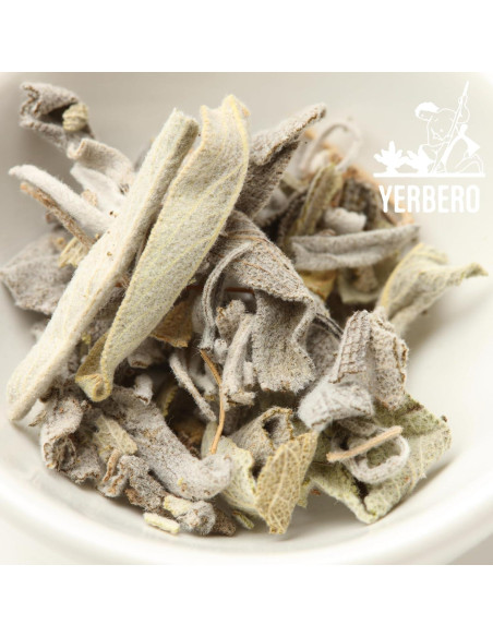 Yerbero Racimo de Salvia Blanca Premium 114g - Incienso Natural