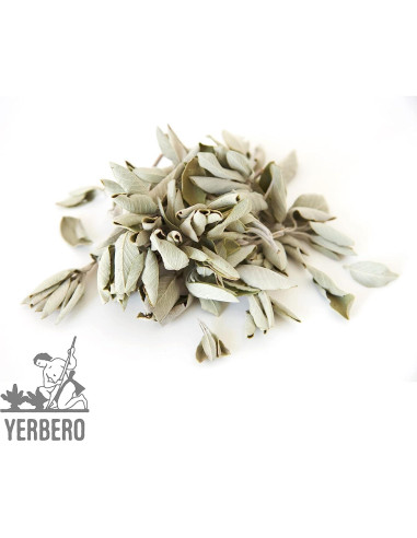 Yerbero Racimo de Salvia Blanca Premium 114g - Incienso Natural
