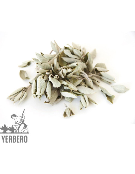 Yerbero Racimo de Salvia Blanca Premium 114g - Incienso Natural
