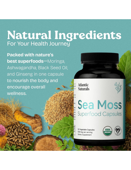 Cápsulas de Musgo Marino Atlantic Naturals 120 Unidades