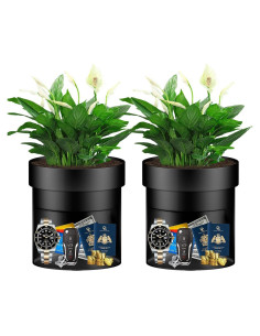 Maceta de Seguridad Oculta Sdstone 2 Pack con Cerradura Llave