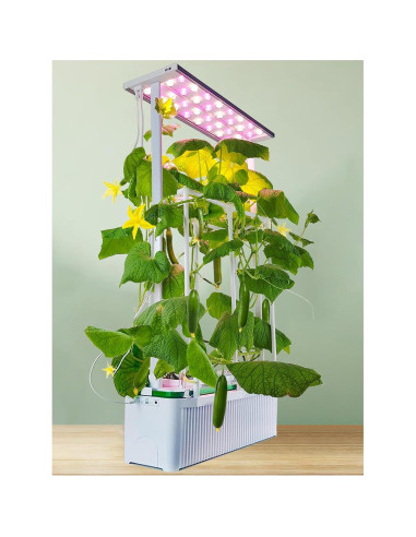 Kit Hidropónico Grande con Luz LED y Soporte Ajustable