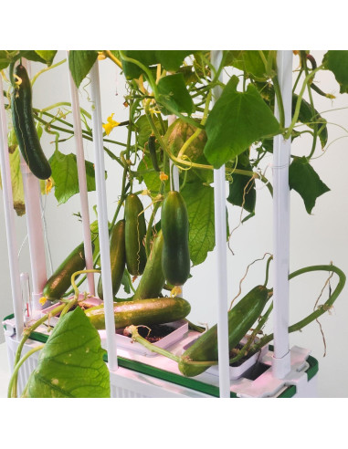 Kit Hidropónico Grande con Luz LED y Soporte Ajustable