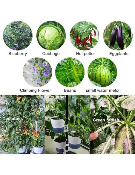 Kit Hidropónico Grande con Luz LED y Soporte Ajustable