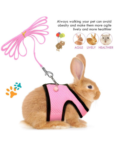 Arnés Suave para Cobayas SATINIOR con Correa y Campana XS