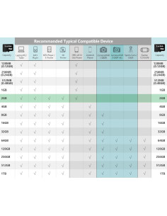 Tarjeta Micro SD 2GB Lerdisk C6 con adaptador SD - Paquete 6 unidades 2
