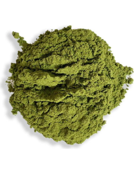Polvo de Hoja de Guanábana 100g 100% Natural Sin Aditivos