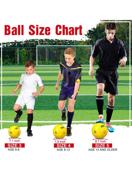 Set 4 Balones de Fútbol Shappy Tamaño 3 con Bomba y Bolsa