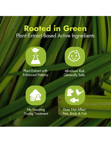 EcoVenger Asesino de Hormigas 480 ml - Natural y Efectivo