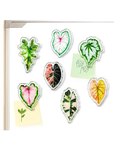 Clips Magnéticos de Hoja Nuvretk - 7 Pack Decorativos para Nevera