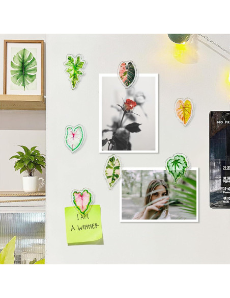 Clips Magnéticos de Hoja Nuvretk - 7 Pack Decorativos para Nevera