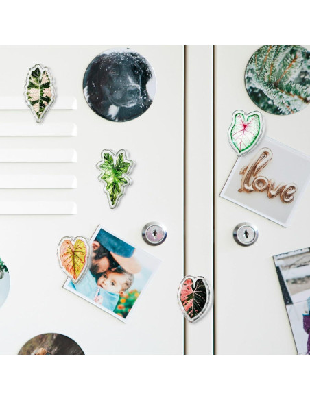 Clips Magnéticos de Hoja Nuvretk - 7 Pack Decorativos para Nevera