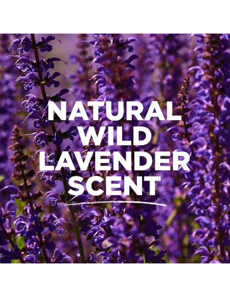 Desodorante Natural Tom's of Maine 63.5 g Lavanda Sin Aluminio