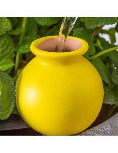 Dispositivos de Riego Automático Ximimark 4 Paquetes Terracota