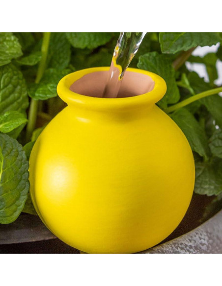 Dispositivos de Riego Automático Ximimark 4 Paquetes Terracota