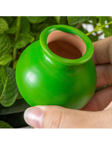 Dispositivos de Riego Automático Ximimark 4 Paquetes Terracota