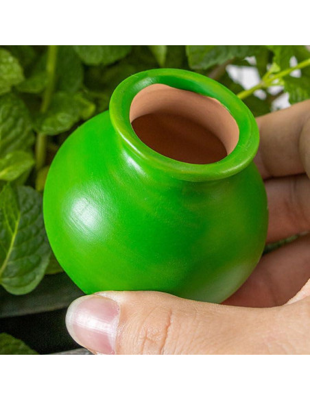 Dispositivos de Riego Automático Ximimark 4 Paquetes Terracota