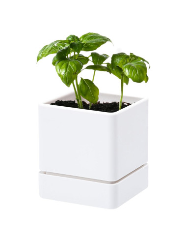 Maceta de Hierbas D'vine Dev 10 cm Blanca con Drenaje y Plato