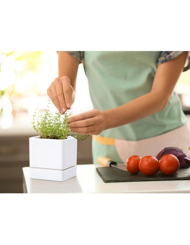 Maceta de Hierbas D'vine Dev 10 cm Blanca con Drenaje y Plato