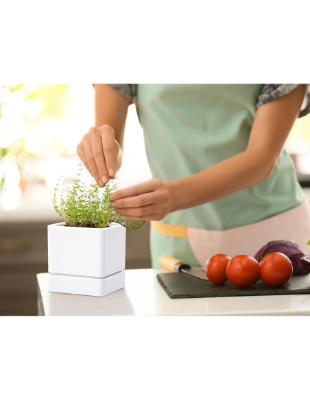 Maceta de Hierbas D'vine Dev 10 cm Blanca con Drenaje y Plato