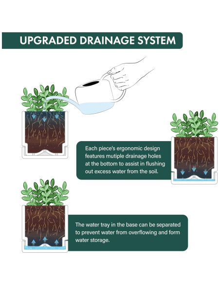 Maceta de Hierbas D'vine Dev 10 cm Blanca con Drenaje y Plato