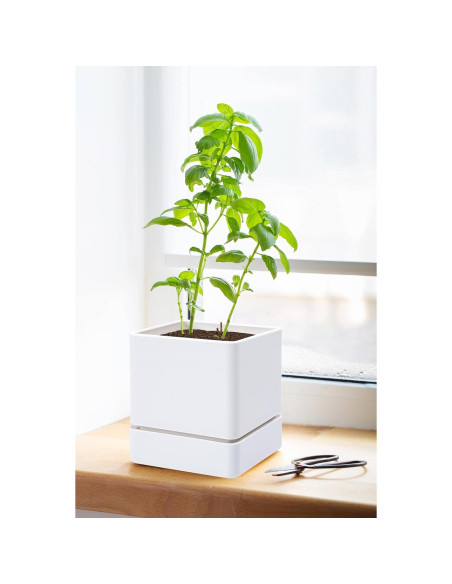 Maceta de Hierbas D'vine Dev 10 cm Blanca con Drenaje y Plato