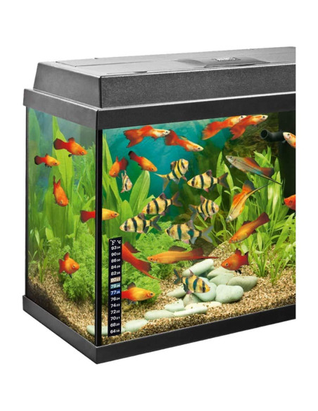 12 Termómetros Adhesivos Digitales Relyone para Acuarios y Bebidas