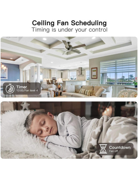 Interruptor de Ventilador Inteligente TREATLIFE WiFi 2.4GHz