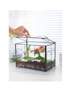 Terrario de Vidrio Templado REDHUGO con Tapa 26x15x21cm Negro 2
