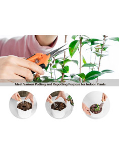 Kit de Jardinería Josteve 5 Pcs - Tijeras y Herramientas para Suculentas 2