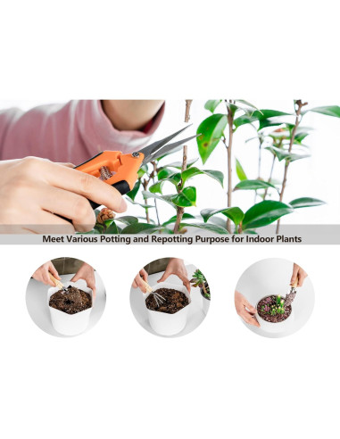 Kit de Jardinería Josteve 5 Pcs - Tijeras y Herramientas para Suculentas