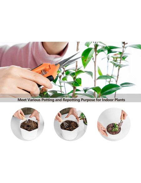 Kit de Jardinería Josteve 5 Pcs - Tijeras y Herramientas para Suculentas