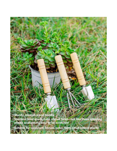 Kit de Jardinería Josteve 5 Pcs - Tijeras y Herramientas para Suculentas