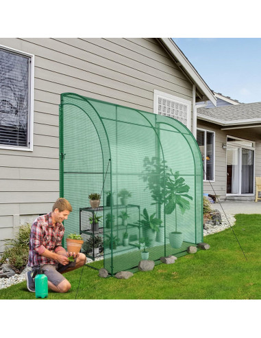 Invernadero Mini de Pared Safstar 2.13x1.07x2.13m con Estante 3 Niveles