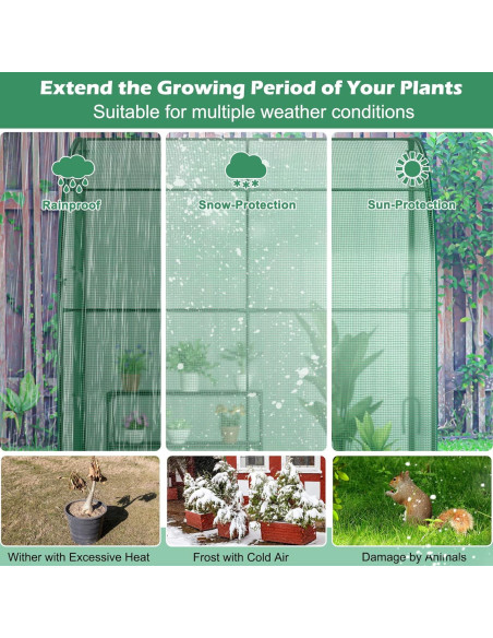 Invernadero Mini de Pared Safstar 2.13x1.07x2.13m con Estante 3 Niveles