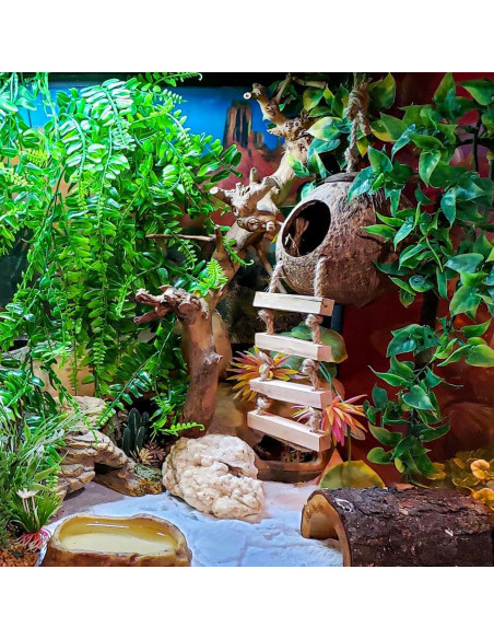 Accesorios para Reptiles HERCOCCI - Cabaña de Coco 37.8 cm