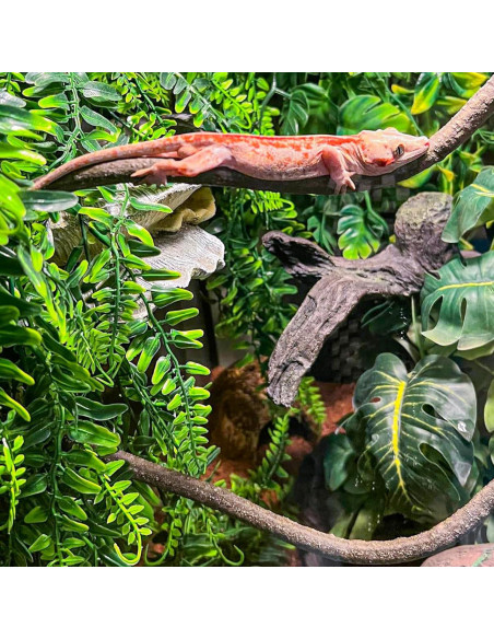 Accesorios para Reptiles HERCOCCI - Cabaña de Coco 37.8 cm