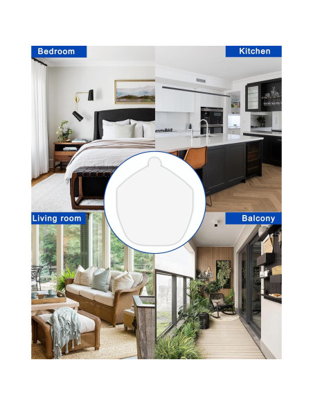 24 Tableros Adhesivos Reemplazo Fooxem IT10 para Moscas