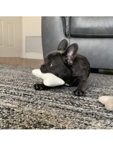 JOYELF Juguete Squeaky para Perros - Paquete de 3 Huesos